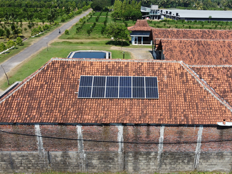 PLTS Pedesaan Swadaya Taruna Bhumi Jember